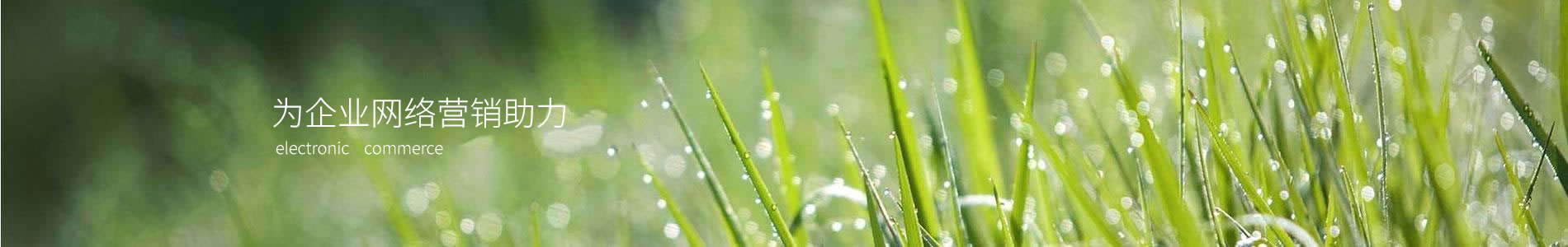 ˼Ƶݣ޹˾